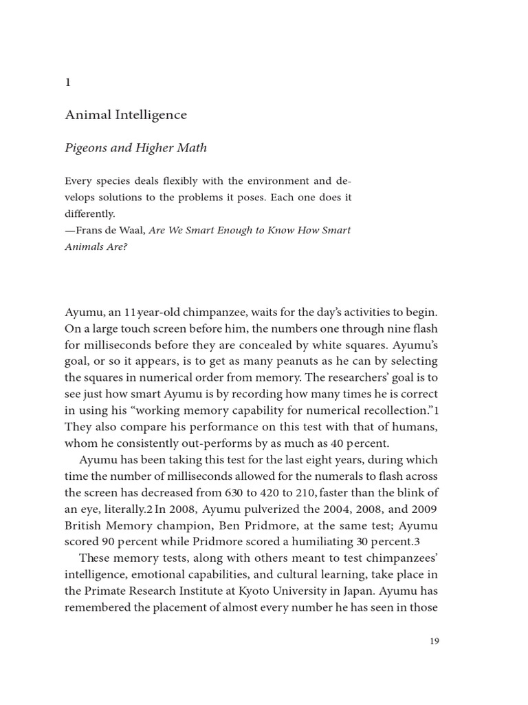 1 AnimalIntelligencePigeons | PDF | Intelligence | Creativity