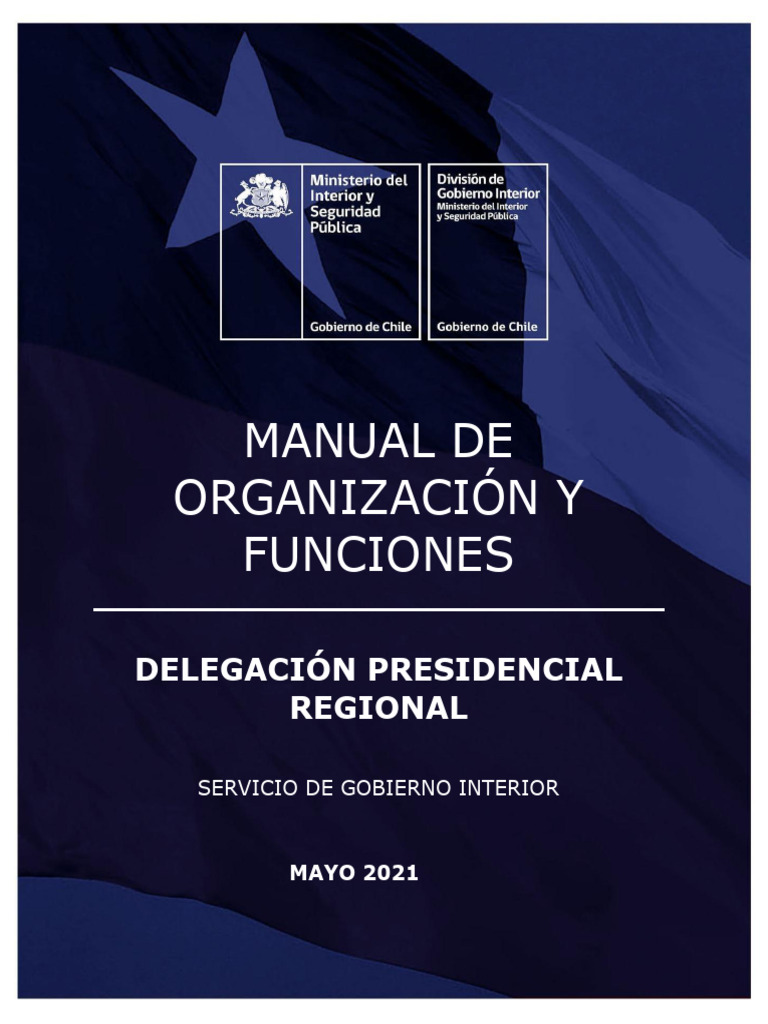 Manual-de-Funciones-DPR-Final | PDF | Auditoría | Ministerio ...