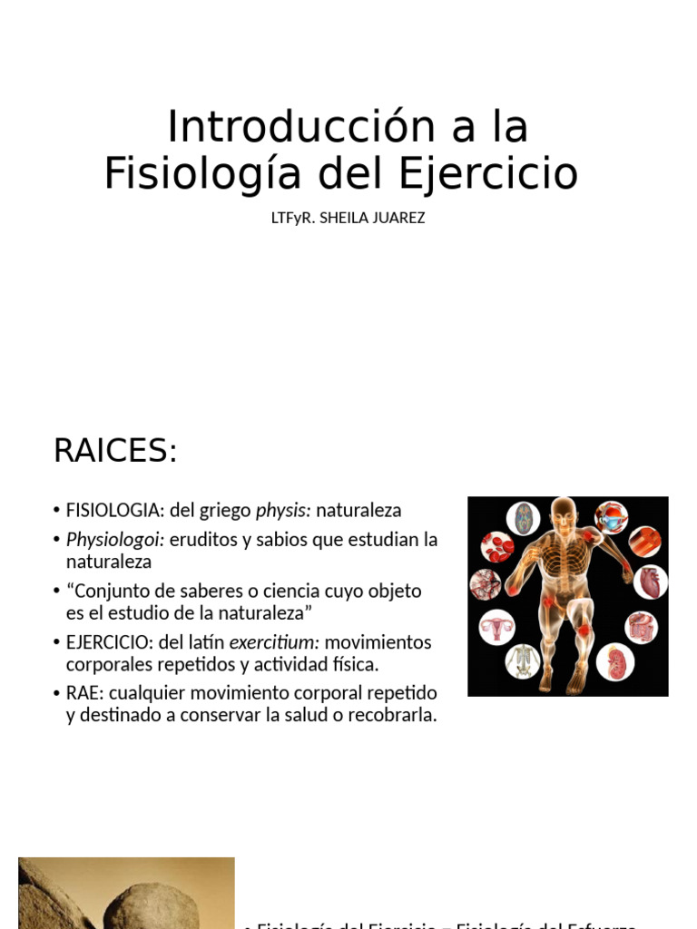 Introducción A La Fisiología Del Ejercicio | PDF