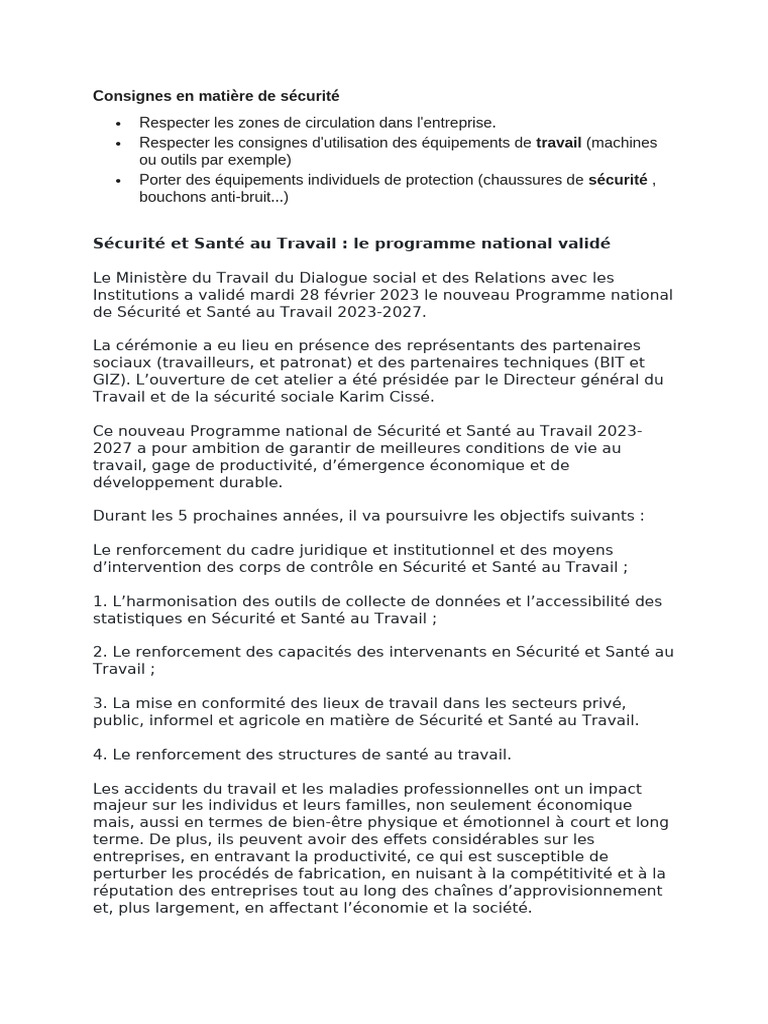 Programme national de SST 2023-2027 | PDF | Santé et sécurité au ...