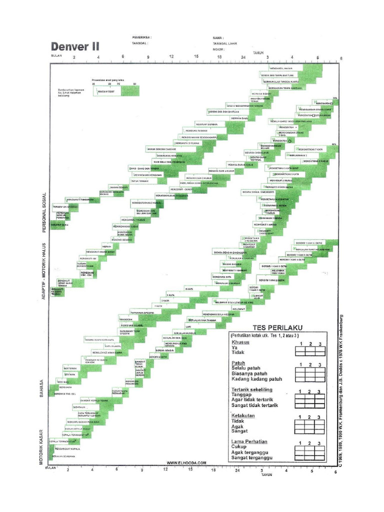 Formulir DDST Ii Denver Development Scre | PDF