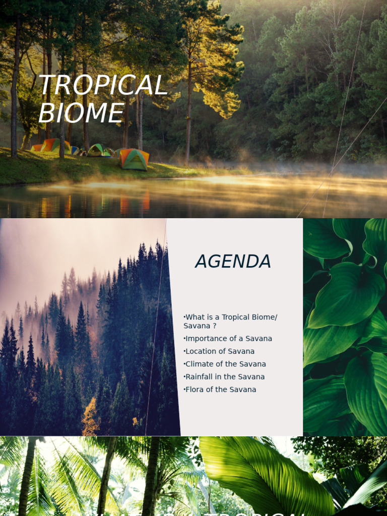 Biome | PDF