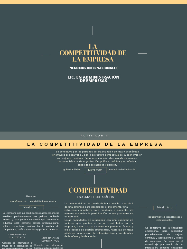Niveles de Competitividad Empresarial | PDF | Business | Macroeconómica