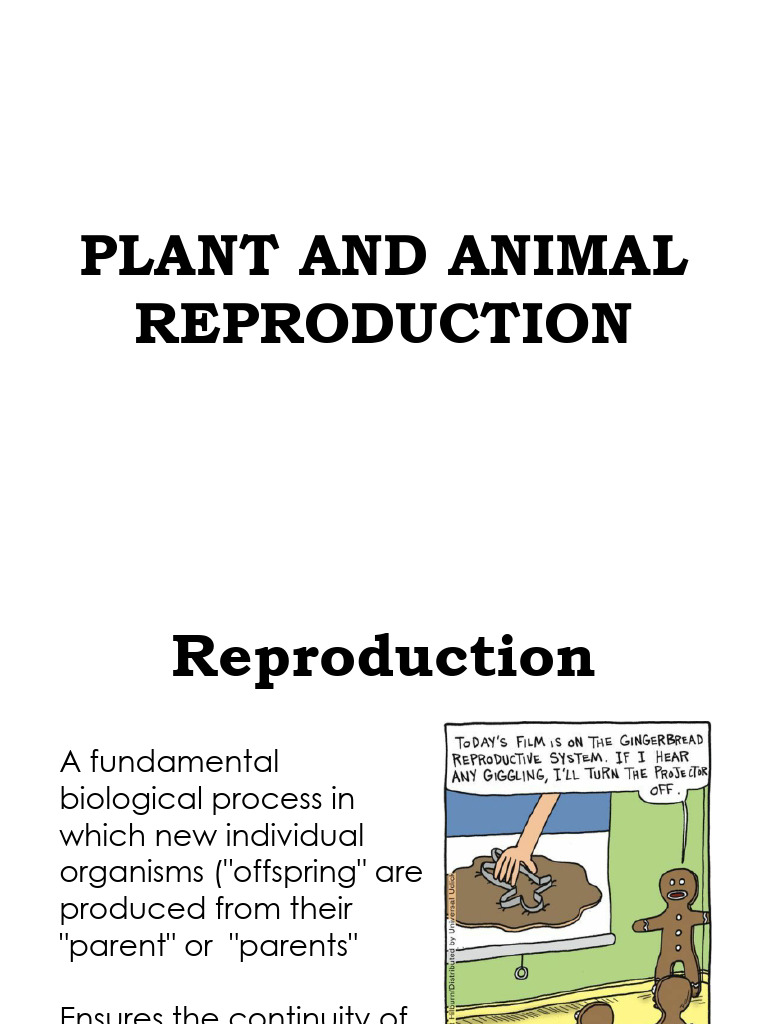Plant And Animal Reproduction Lesson Plan
