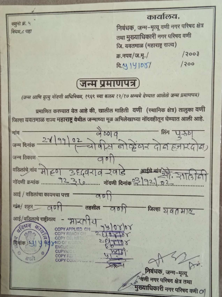 BIRTH CERTIFICATE FORM PDF MP DOWNLOAD visual data 5