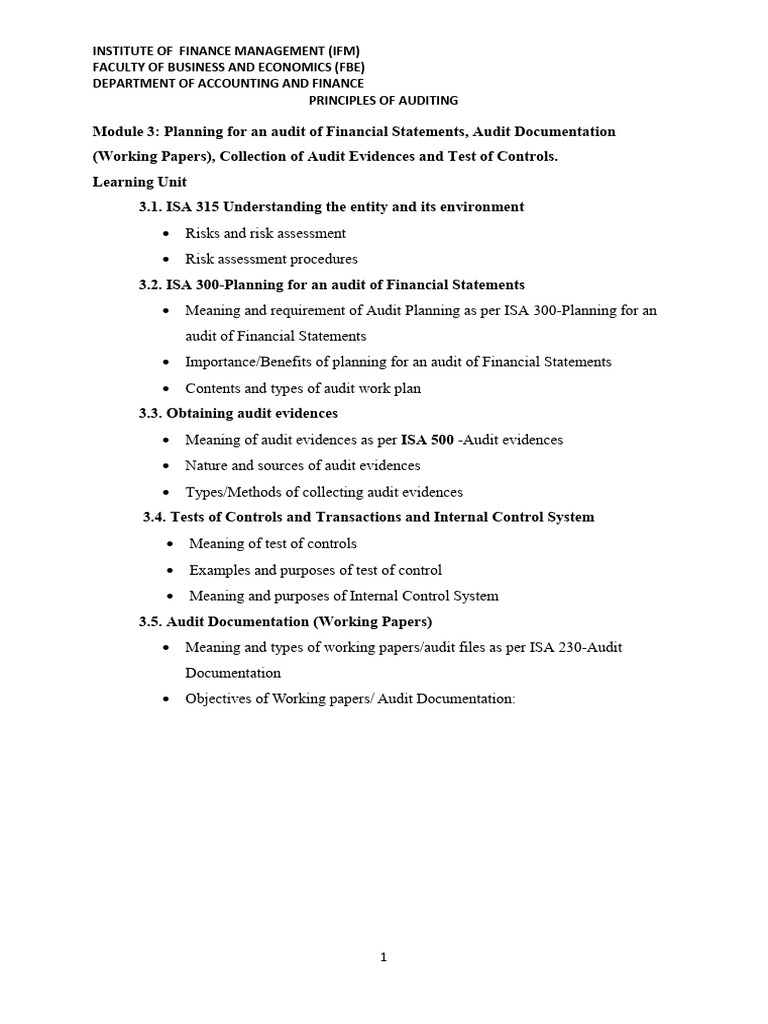 Audit Planning and Risk Assessment Guide | PDF | Audit | Internal Control