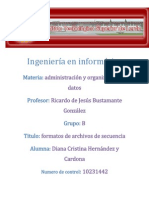 Ingeniería en informática