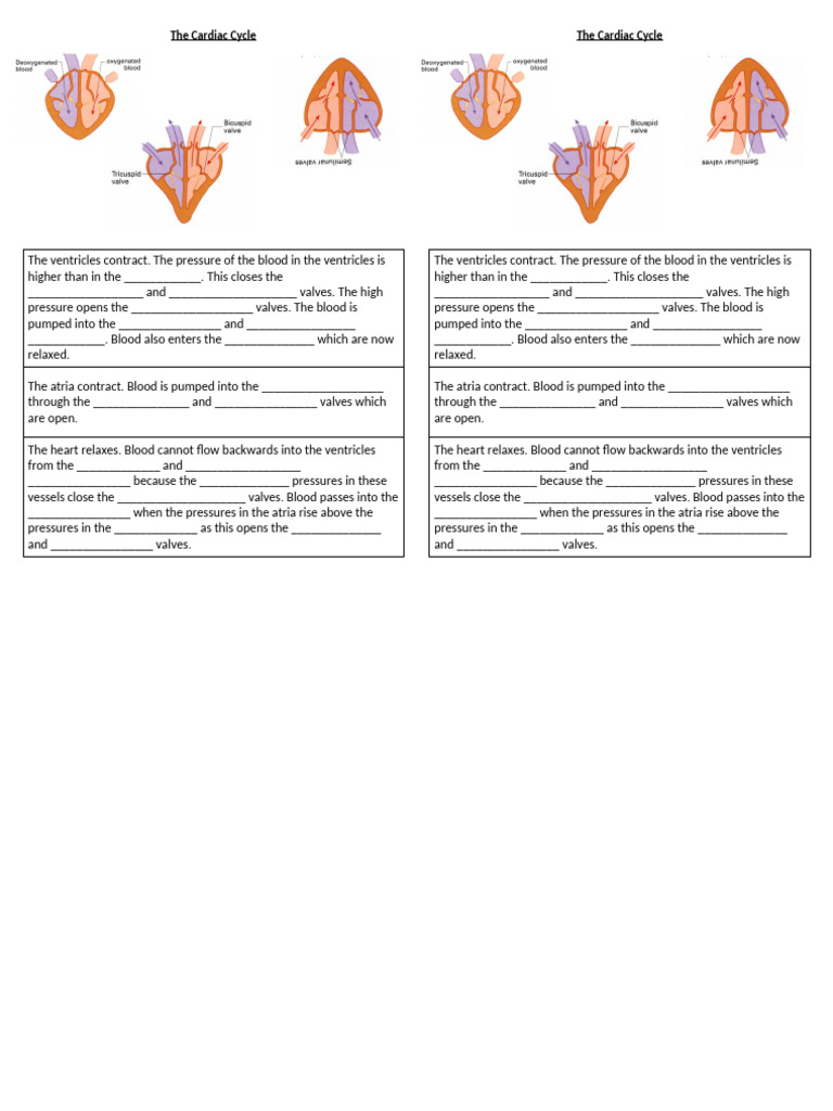 The Cardiac Cycle | PDF