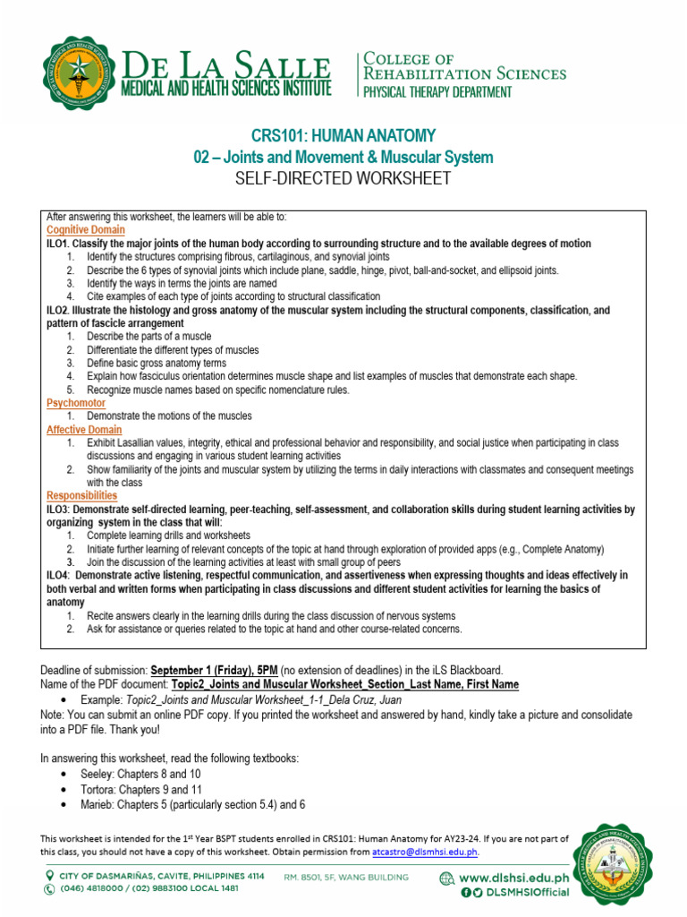 Joints and Muscular System Worksheet | PDF | Muscle Contraction | Joint