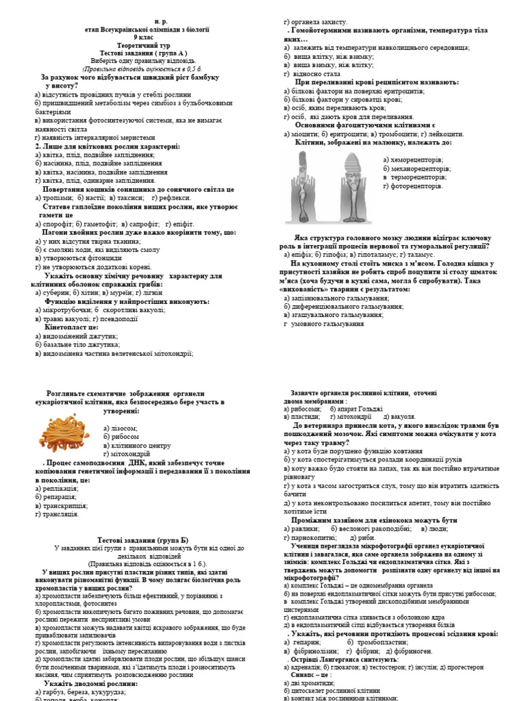 Test 9 Klass | PDF