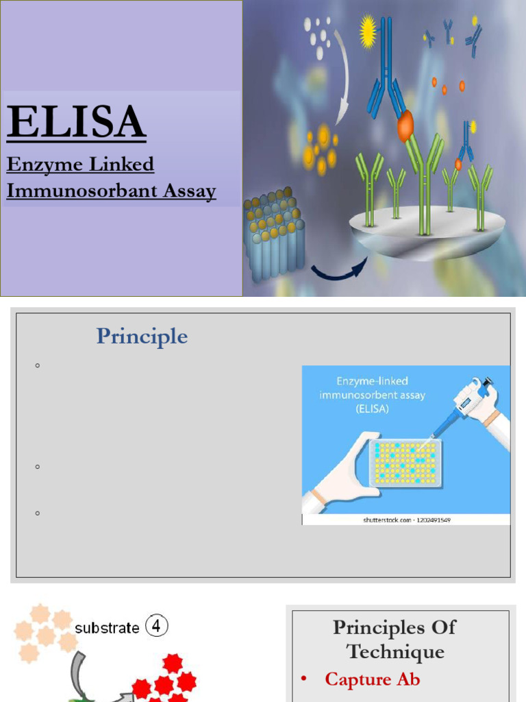 ELISA: Principles and Applications | PDF | Elisa | Immunology