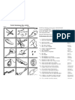 ACTIVITY Protist Dichotomous Key Activity