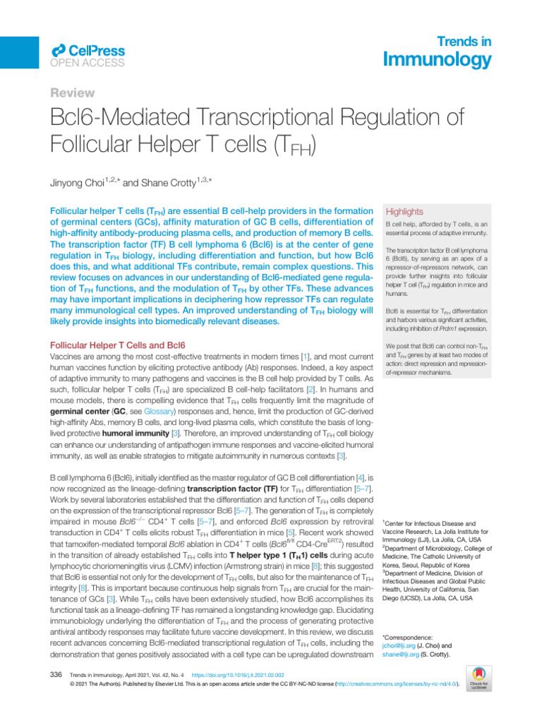 Bcl6's Role in Follicular Helper T Cells | PDF | T Helper Cell | T Cell