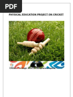 Download Physical Education Project on Cricket by Sonal Sachin Gupte SN81153185 doc pdf