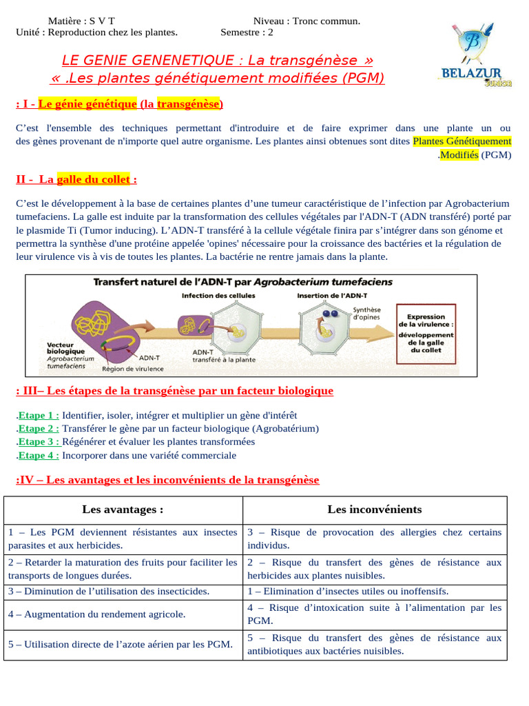 Transgénèse des Plantes : Étapes et Impacts | PDF | Plante ...