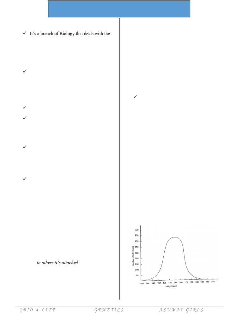 Fruit Fly Genetics and Probability | PDF | Dominance (Genetics) | Genotype