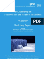 Sea Level Rise and Ice Sheet Instabilities