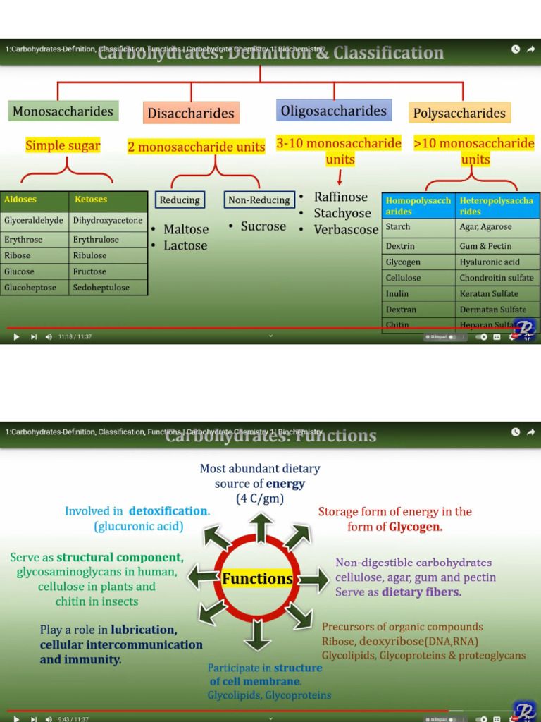 Classification of Carbohydrates | PDF