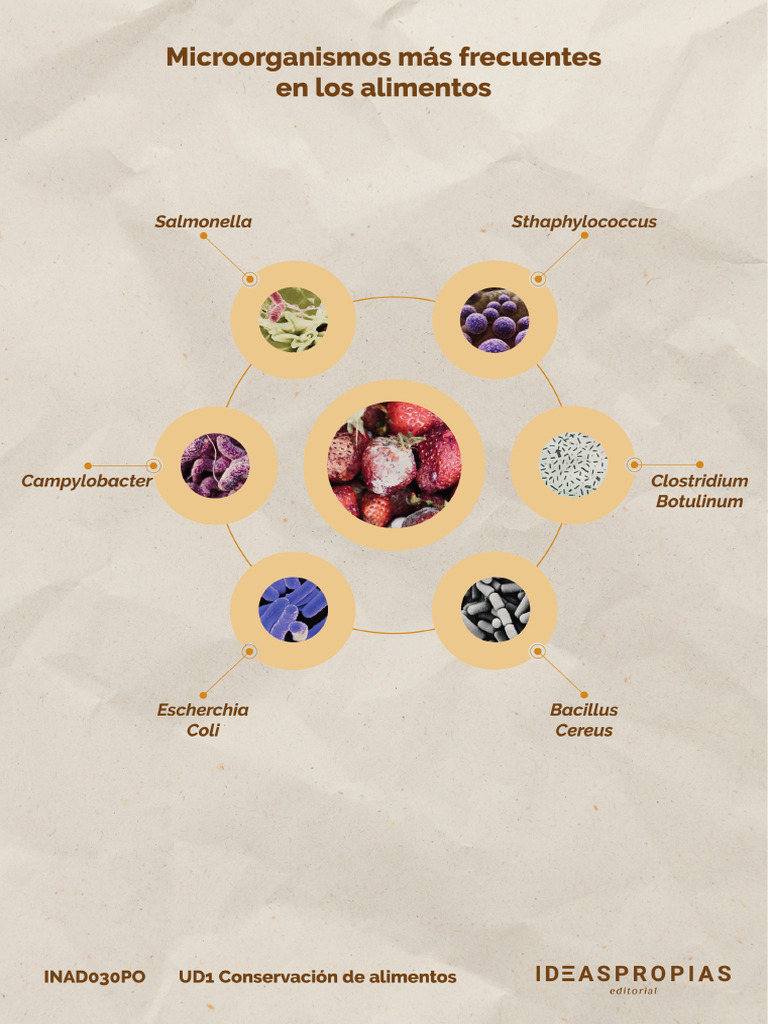 Microorganismos Más Frecuentes en Los Alimentos | PDF