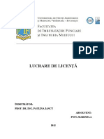 Lucrare Licenta Mari