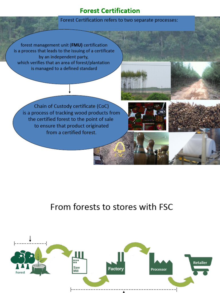 FSC Certification and Principles Overview | PDF | Forest Stewardship ...