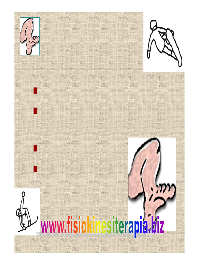 Lower Limb Pdf Human Leg Human Anatomy