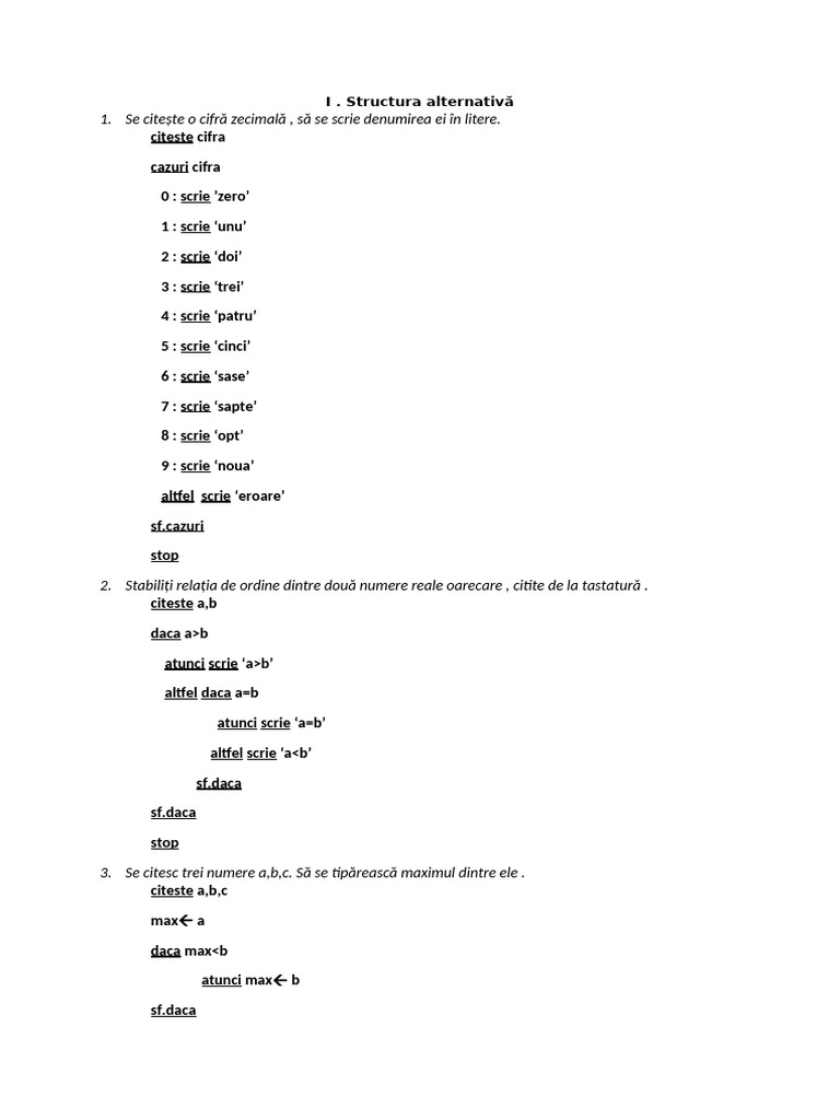 Exemple Structura Alternativa | PDF