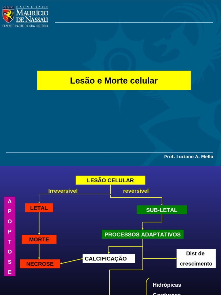 Lesao e Morte Celular Aula 01 | PDF | Necrose | Apoptose