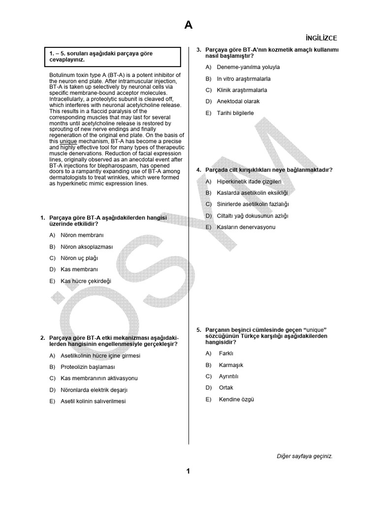 Tus 2006 Nisaningilizce | PDF