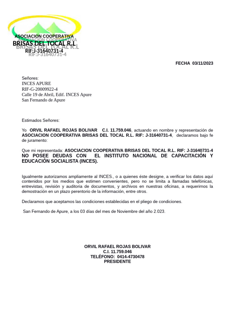 Declaración Jurada Servicio de Comedor Apure 2024 | PDF | Cooperativa