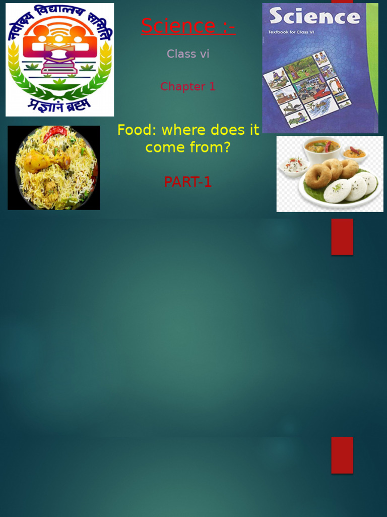 Food Sources and Plant Parts Explained | PDF | Foods | Root