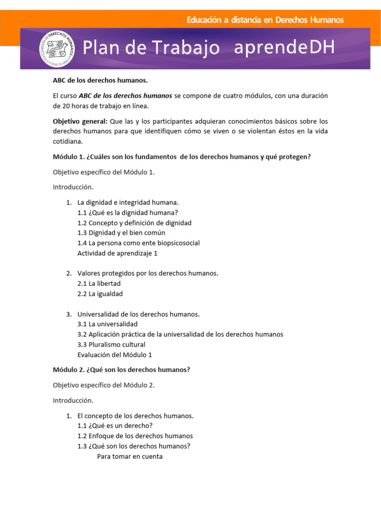 Plan de Trabajo ABC de Los Derechos Humanos 2022 | PDF | Derechos ...