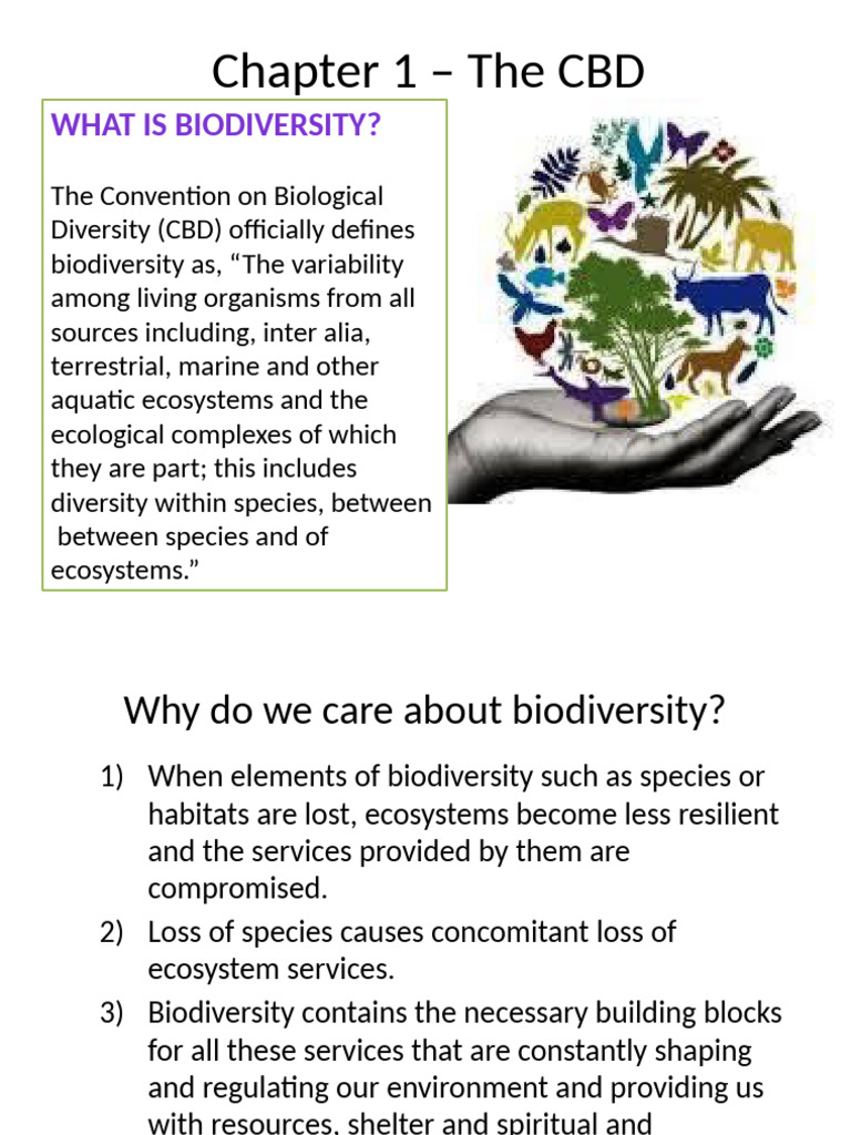 Chapter 1 – the CBD | PDF | Biodiversity | Ecosystem