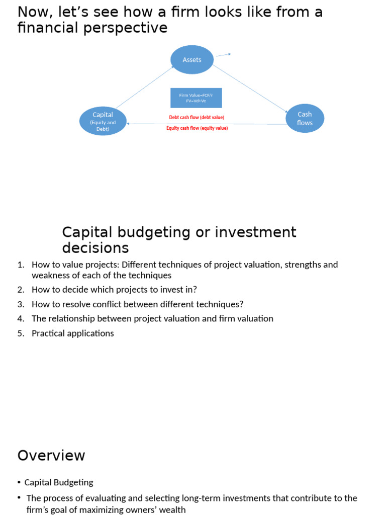 Capital Budgeting Techniques Explained | PDF | Net Present Value ...
