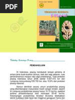 Download pisang_2 by Muhammad Eka SN81170895 doc pdf