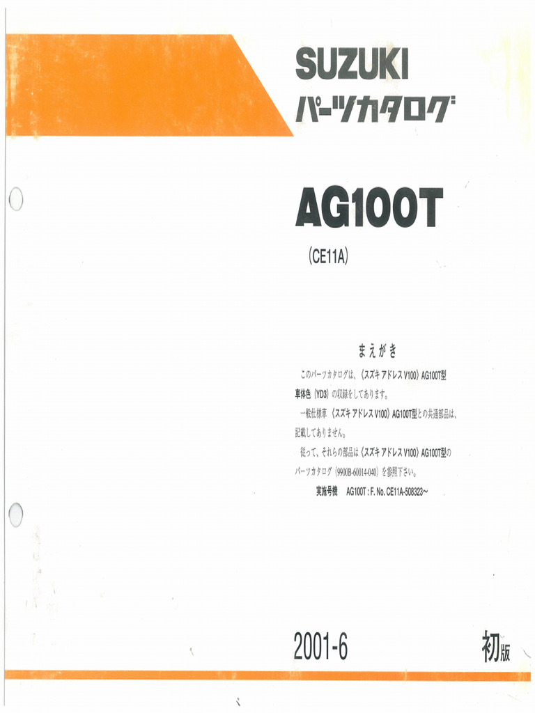 V100 Ag100 (Ce11a) | PDF