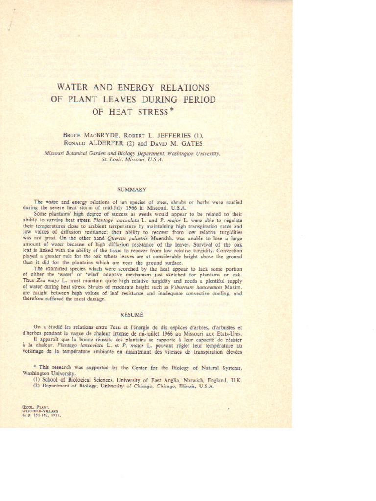 Water and Energy Relations of Plant Leaves During Heat Stress | PDF