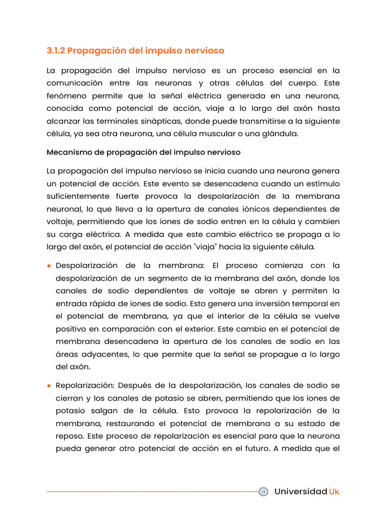 3.1.2 Propagación Del Impulso Nervioso | PDF | Potencial de acción ...