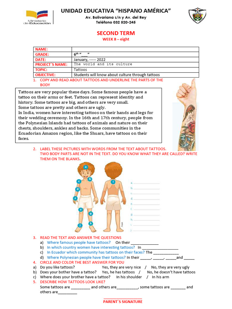 Understanding Tattoos and Culture | PDF