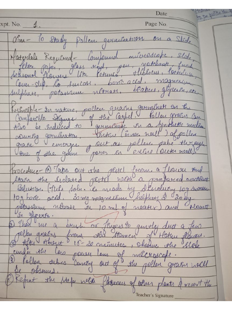 Bio Practical File 2.O | PDF