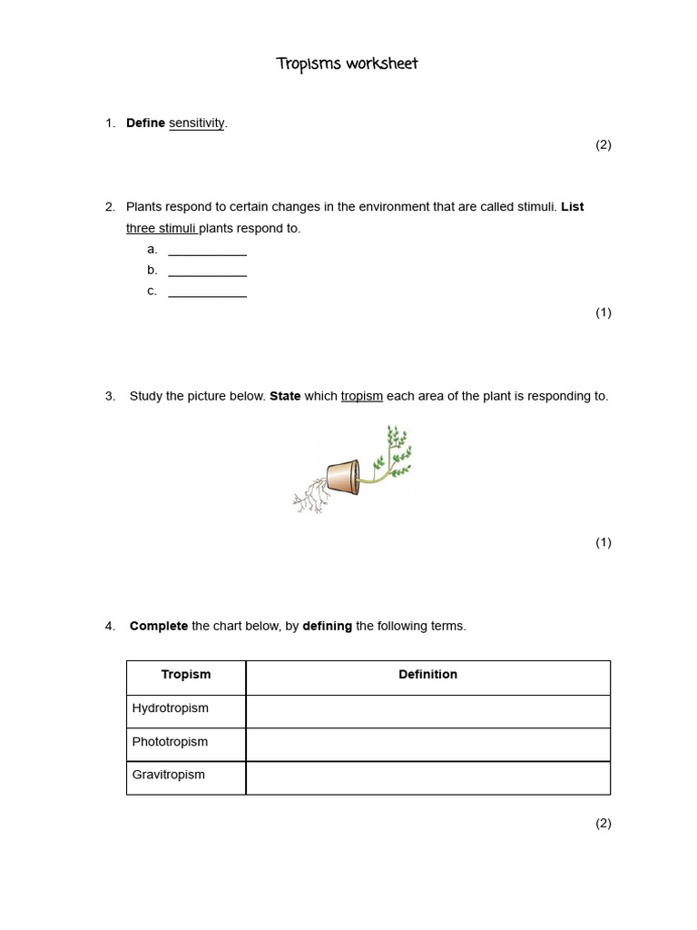 Tropisms worksheet PDF Plant Physiology Branches Of Botany