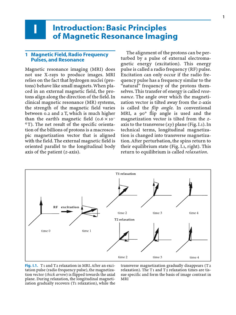 Introduction Basic Principles Of Magnetic Resonance Imaging 2006 Pdf
