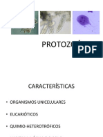 aula3_protozoários1