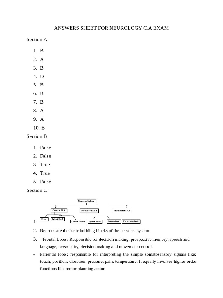 Neurology C.A Exam Answer Key | PDF | Motor Neuron | Nerve