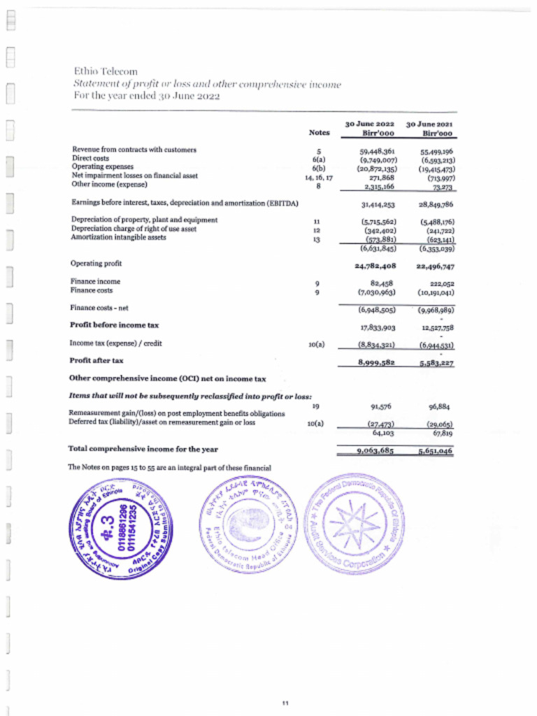 AUDITED FINANCIAL STATEMENTS SAMPLE PDF FREE DOWNLOAD 2022 visual data 4