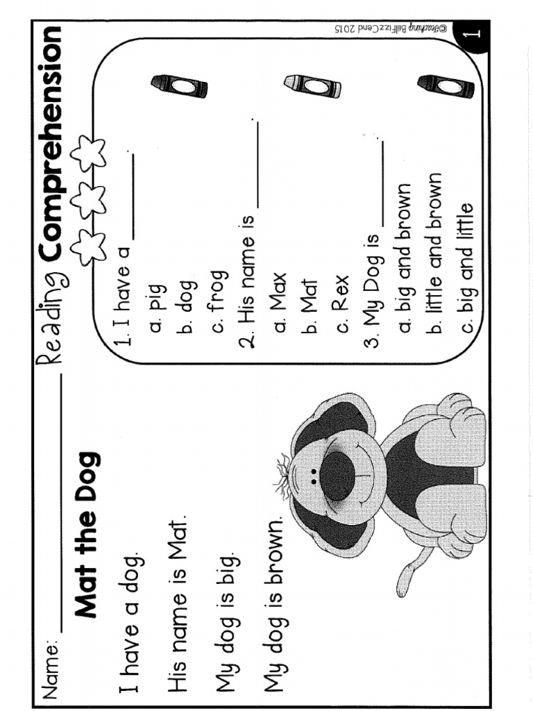 Primary reading comprehension 2 1 pdf