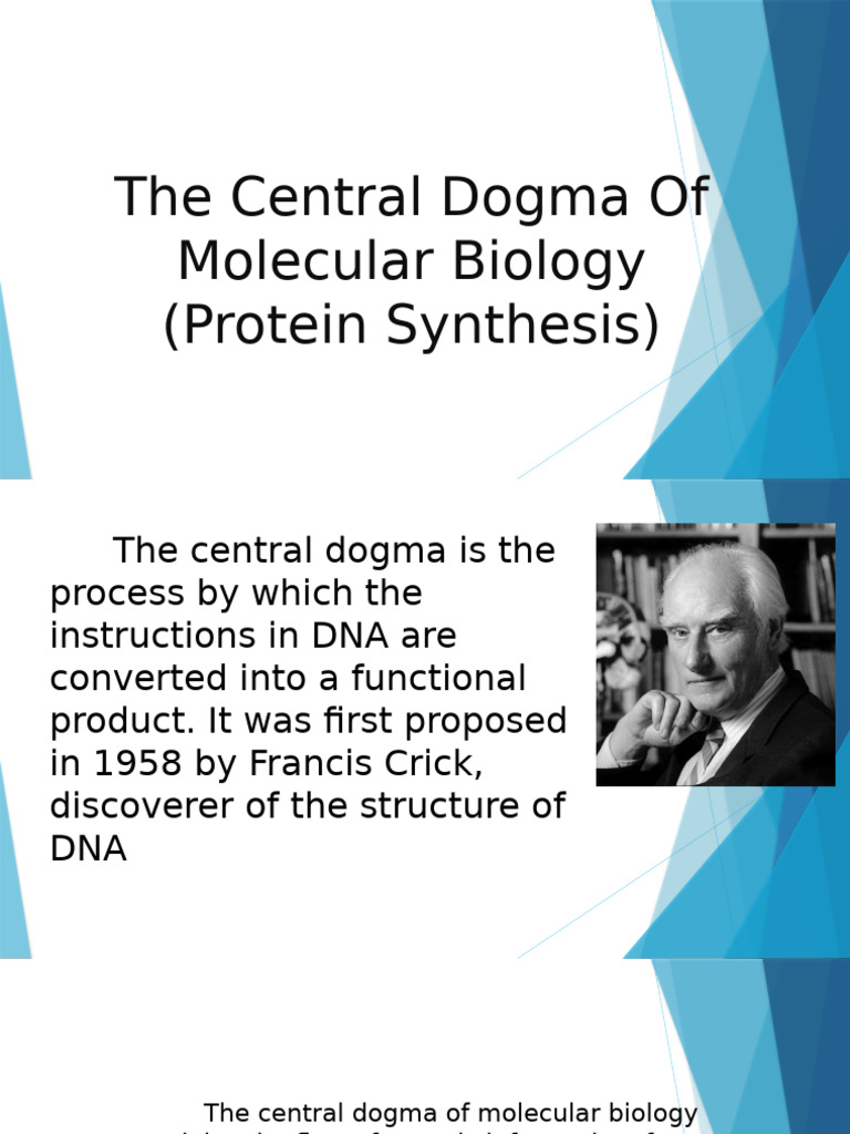 Central Dogma of Molecular Biology Explained | PDF | Dna | Rna