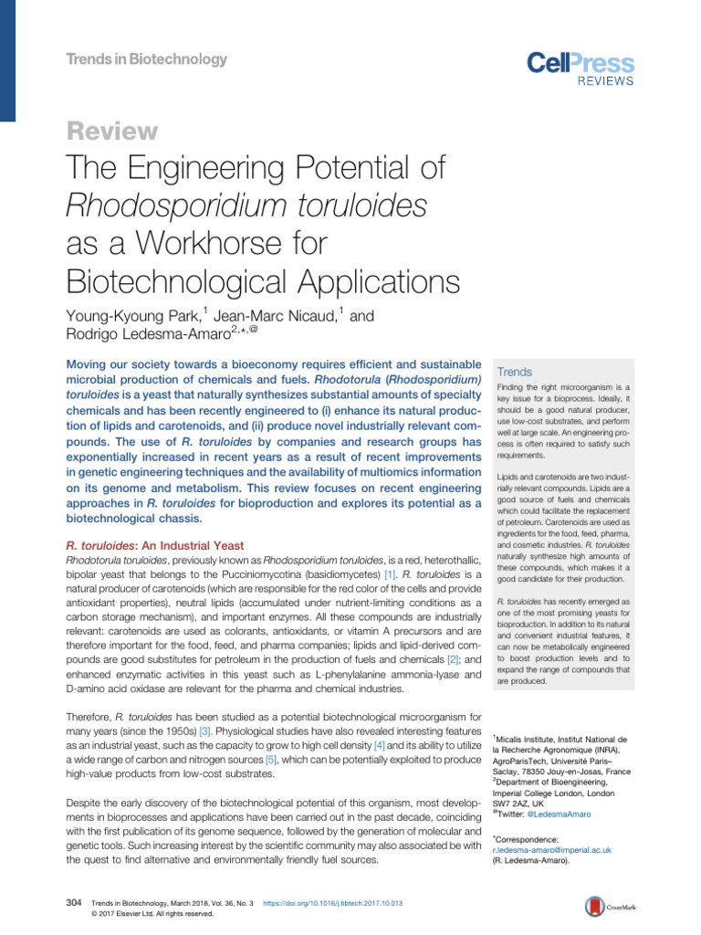 Rhodosporidium toruloides: Biotech Potential | PDF | Genomics ...