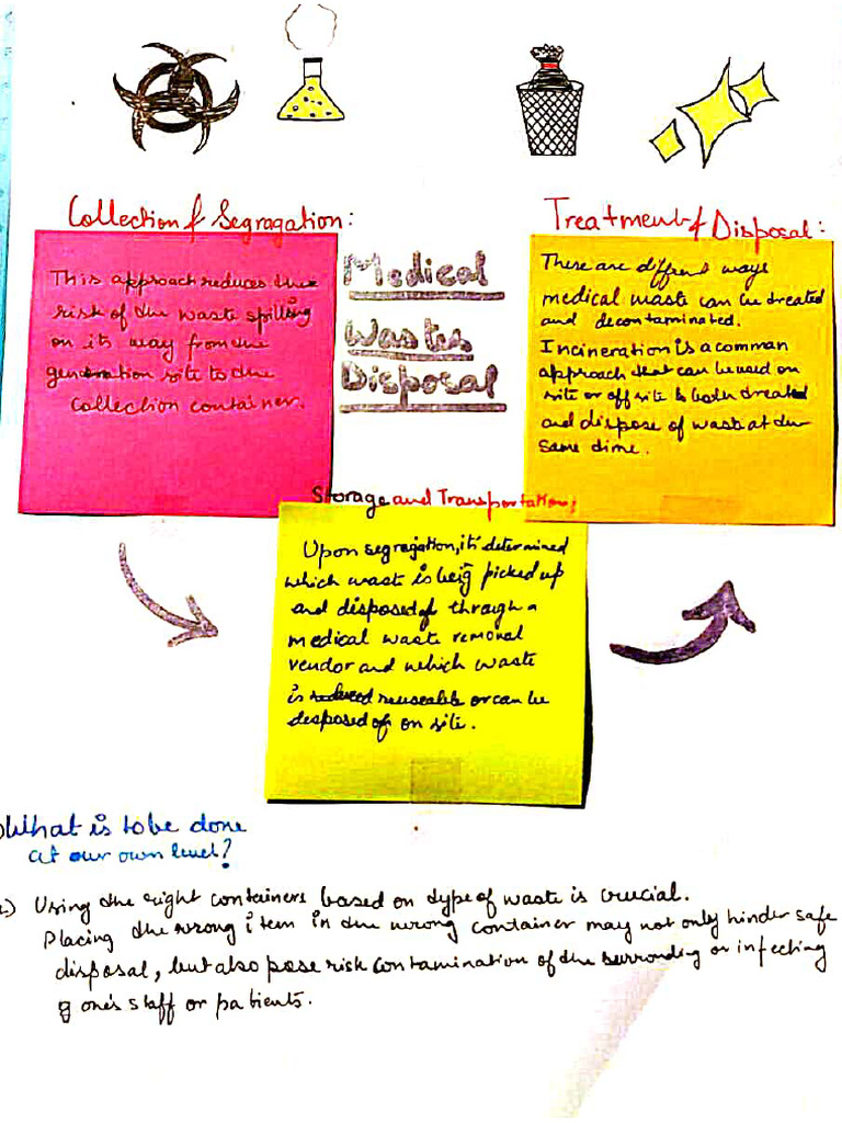Science Portfolio Activity 2 - Vedantiika - 29 | PDF