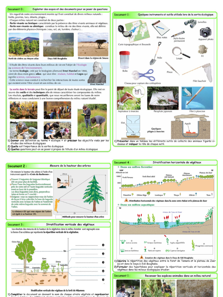 Document SVT TC | PDF